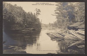 Le Narrows Dells del Wisconsin