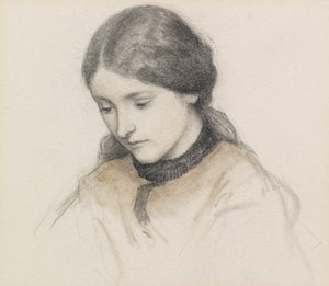 Testa di una ragazza