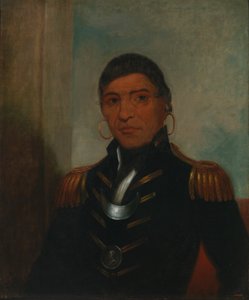 Big Buffalo (Chippewa) da Henry Inman