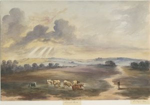Cannock Chase - "Brughiera": acquerello, 1844 da Henry James Noyes