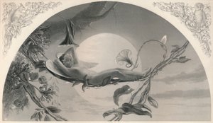 Ariel La Tempesta, c1870 da Henry James Townsend