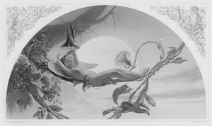 Ariel (dalla collezione reale) da Henry James Townsend
