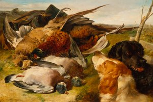 Il Bottino del Mattino
