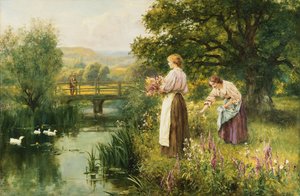Raccolta di fiori primaverili