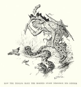 Come gli indiani fanno vomitare il serpente cornuto da Henry Justice Ford