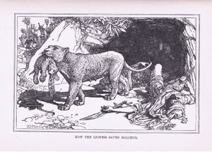 Come la leonessa salvò Malco, 1912