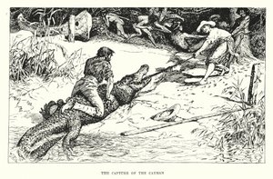 La cattura del caimano da Henry Justice Ford