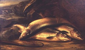 Natura morta di salmone da Henry Leonidas Rolfe