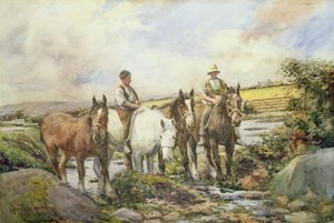 Cavalli che si abbeverano da Henry Meynell Rheam
