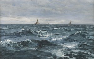 Navigare in mare mosso