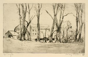 Edificio simile a un ospedale visto tra grandi alberi da Henry Nielsen