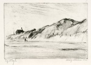 Paesaggio costiero con casa e persona da Henry Nielsen