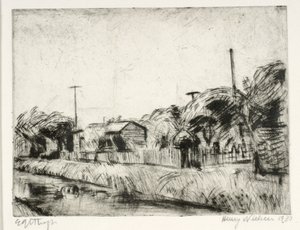 Orti urbani lungo il canale da Henry Nielsen