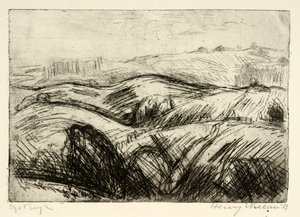 Paesaggio collinare da Henry Nielsen