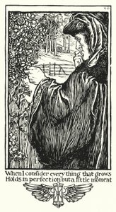 Sonetti di Shakespeare, Sonetto XV da Henry Ospovat