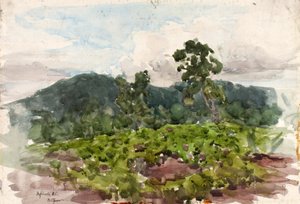 Highlands, N.C. da Henry Ossawa Tanner