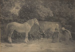 [Vecchio Dapple] da Henry Peach Robinson