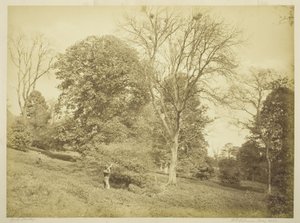 Caccia alla cornacchia da Henry Peach Robinson