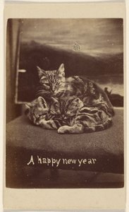Un felice anno nuovo da Henry Pointer