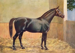 Stallone Yorkshire Coach Horse Crown Prince, 1902 c1910 da Henry Powell Palfrey
