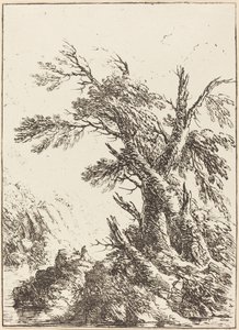 Paesaggio con Vecchi Alberi vicino all
