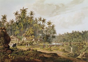 Veduta vicino a Point du Galle, Ceylon, inciso da Daniel Havell (1785-1826) pubblicato nel 1809 da Henry Salt