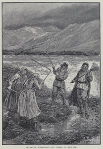 Contadini che trebbiavano il grano sul ghiaccio da Henry Sandham