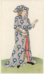 Un cavaliere della Giarrettiera da Henry Shaw