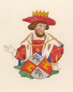 Re Giovanni del Portogallo da Henry Shaw