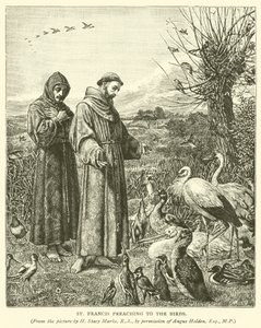San Francesco che predica agli uccelli