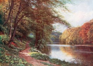 Sul fiume Ayr, Ayrshire (litografia a colori)