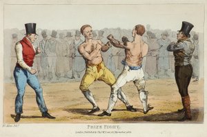 Combattimento di pugilato