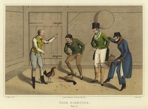 Combattimento di galli