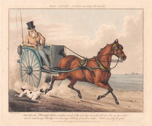  da Henry Thomas Alken