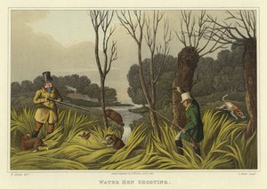 Caccia alla Gallinella d