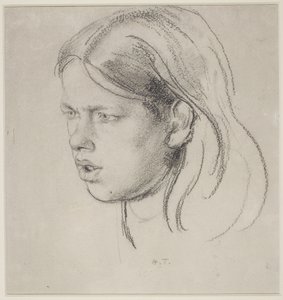 Testa di una ragazza