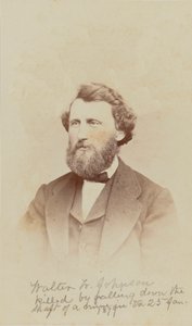 Ritratto di Walter W. Johnson, 1868 da Henry Ulke
