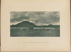 Di ritorno da Polonnaruwa con il calar del sole da Henry W. Cave