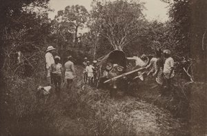 Città rovinate di Ceylon: In viaggio verso Polonnaruwa da Henry W. Cave