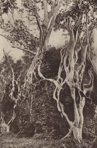 Città rovinate di Ceylon: Kotuwa