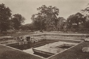 Città rovinate di Ceylon: Pokuna