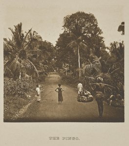 Il Pingo da Henry W. Cave