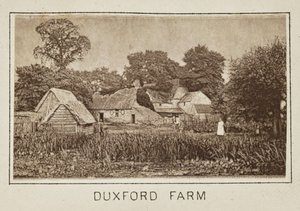 Fattoria di Duxford