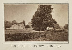 Rovine del convento di Godstow da Henry W. Taunt