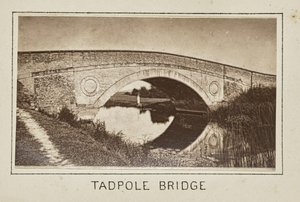 Ponte dei Girini da Henry W. Taunt