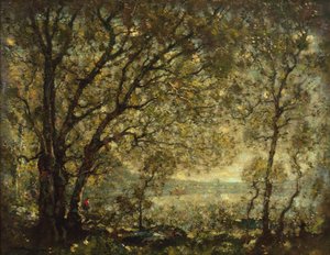 Stagno lungo da Henry Ward Ranger