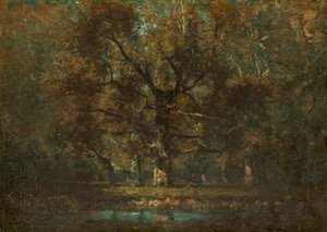 Quercia da Henry Ward Ranger