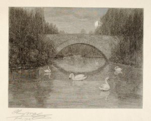 Sera, Lago dei cigni, Central Park, New York da Henry Wolf