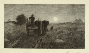 Verso casa