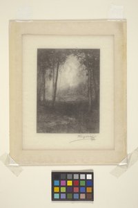 Negli Adirondacks da Henry Wolf